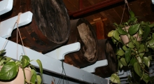 img_7744-sm